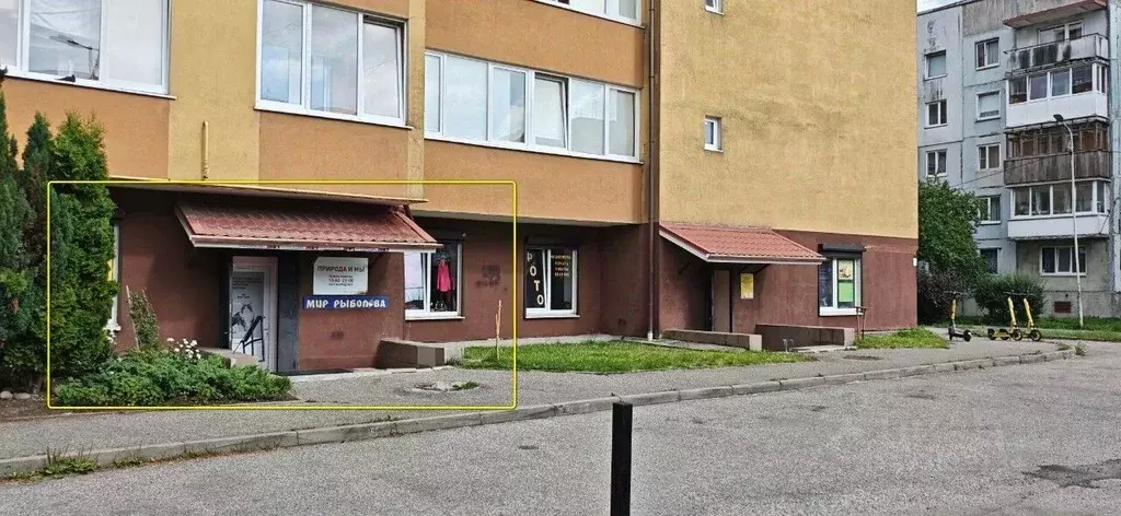 Торговая площадь в Калининградская область, Калининград Чкаловск мкр, ... - Фото 1