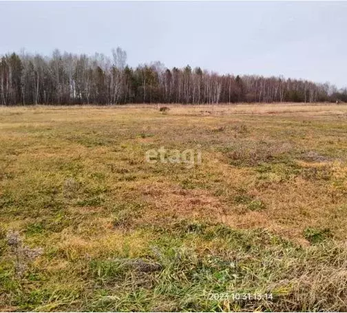 Участок в Амурская область, Благовещенский район, пос. Вадимово  ... - Фото 1