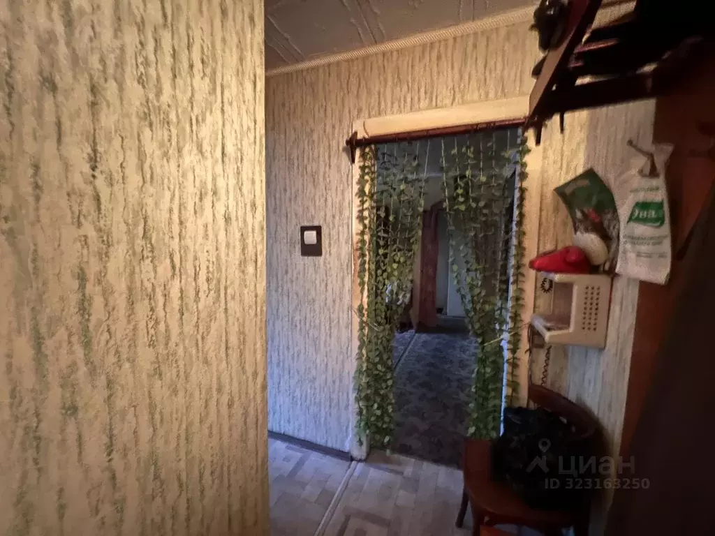 3-к кв. Владимирская область, Киржач ул. 40 лет Октября, 40 (58.4 м) - Фото 2