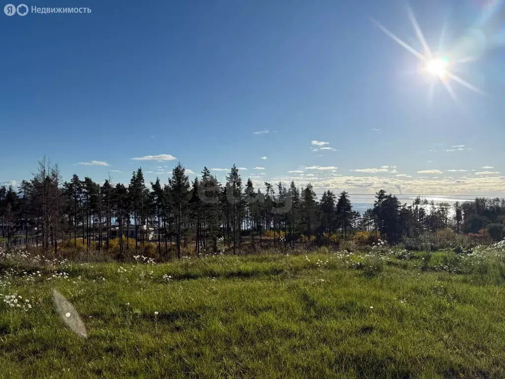 Участок в посёлок Пески, коттеджный посёлок Алые Паруса (12.5 м) - Фото 2