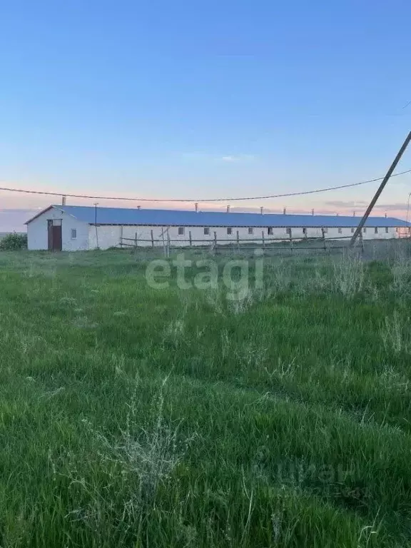 Участок в Воронежская область, Борисоглебский городской округ, с. ... - Фото 0