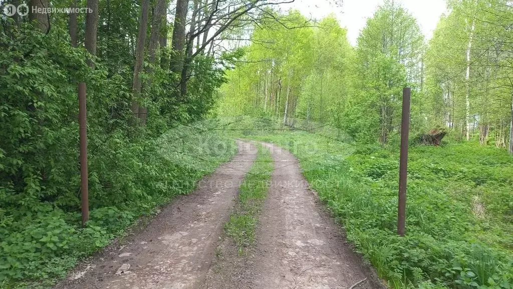Участок в Московская область, муниципальный округ Чехов, деревня ... - Фото 1