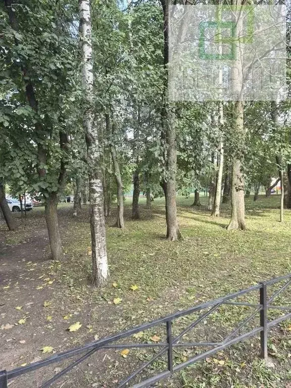 Студия Санкт-Петербург Старо-Паново исторический район, ул. Совхозная ... - Фото 1