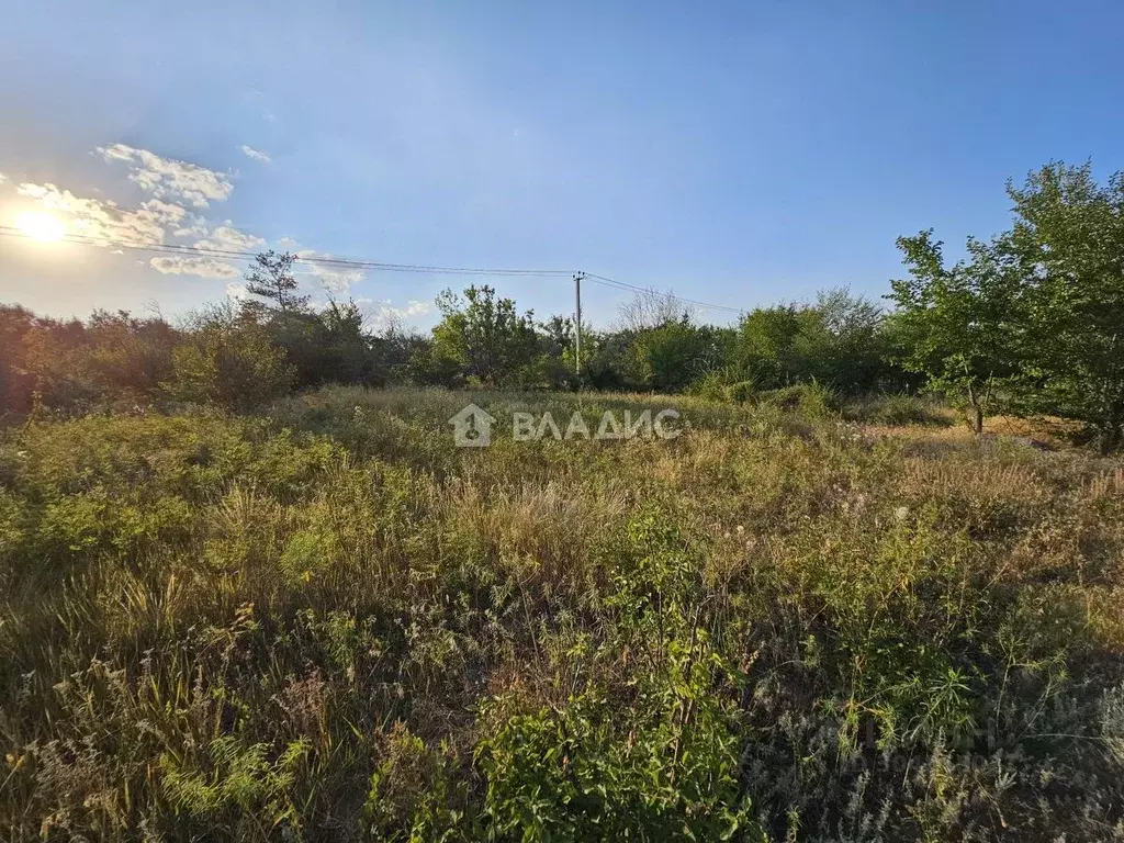 участок в волгоградская область, волгоград берендей снт, (6.57 сот.) - Фото 0