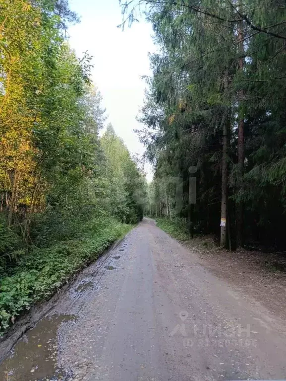 Участок в Московская область, Щелково городской округ, Озон СНТ 4 (6.0 ... - Фото 0