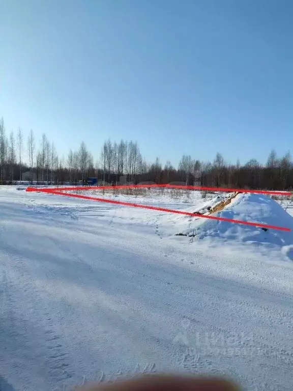 Участок в Вологодская область, д. Андрюшино  (50.0 сот.) - Фото 1