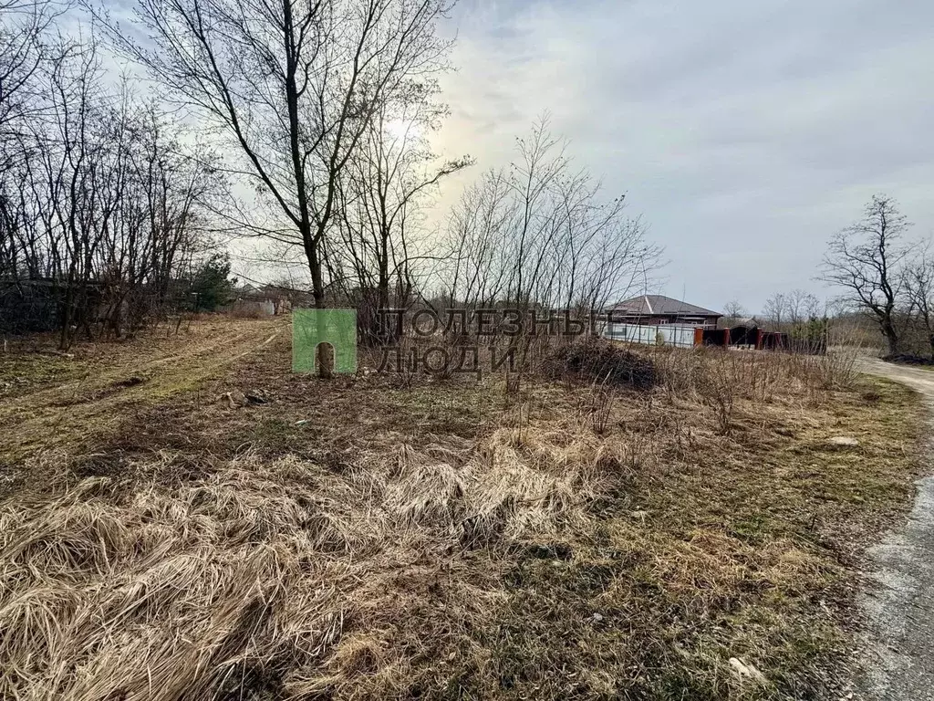 Участок в Белгородская область, Яковлевский муниципальный округ, Плод ... - Фото 1
