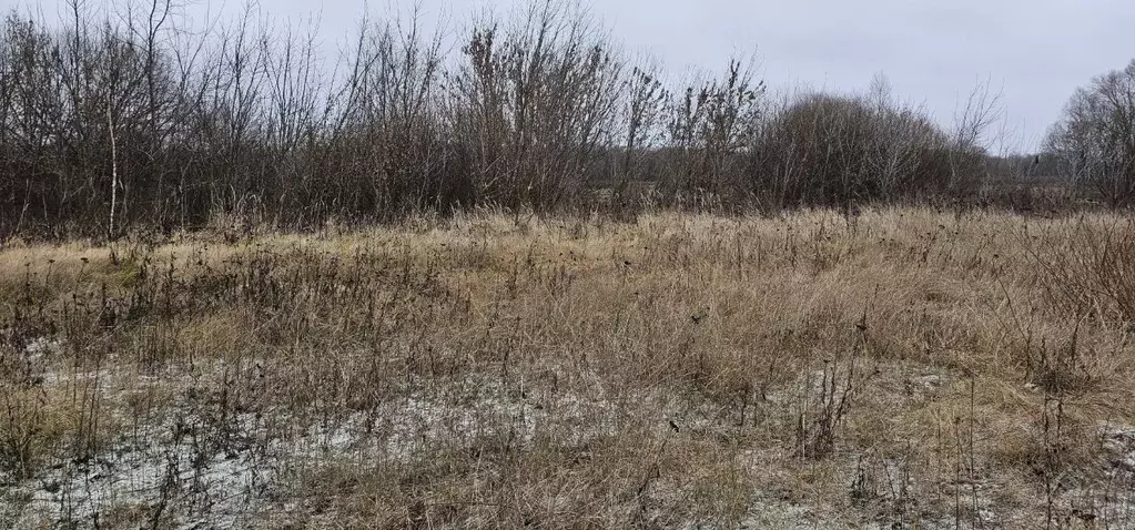 Участок в Московская область, Луховицы муниципальный округ, д. Гольный ... - Фото 2