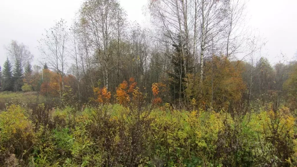 Участок в Московская область, Рузский муниципальный округ, д. Шилово ... - Фото 0
