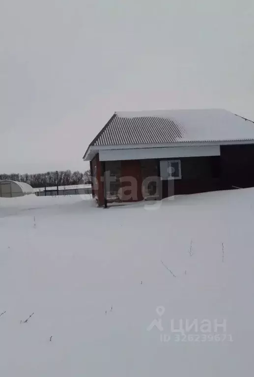 Дом в Татарстан, Тукаевский район, Нижнесуыксинское с/пос, с. Верхний ... - Фото 1