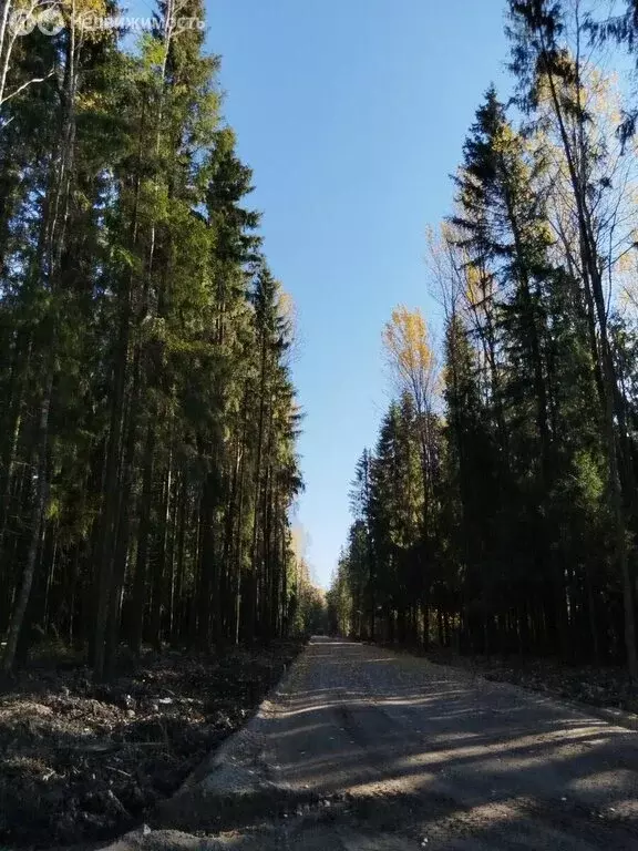 Участок в Ленинградская область, Всеволожск (10.58 м) - Фото 1