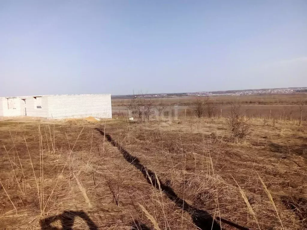 Участок в Воронежская область, Рамонский район, Русскогвоздевское ... - Фото 0