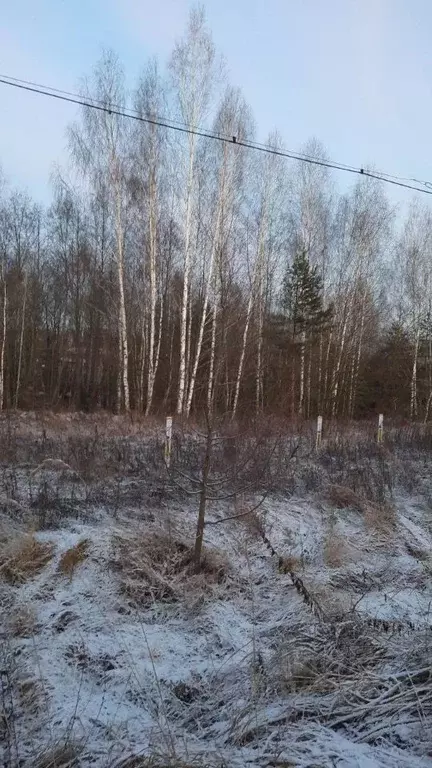 Участок в Московская область, Ступино городской округ, д. Прудно ул. ... - Фото 1