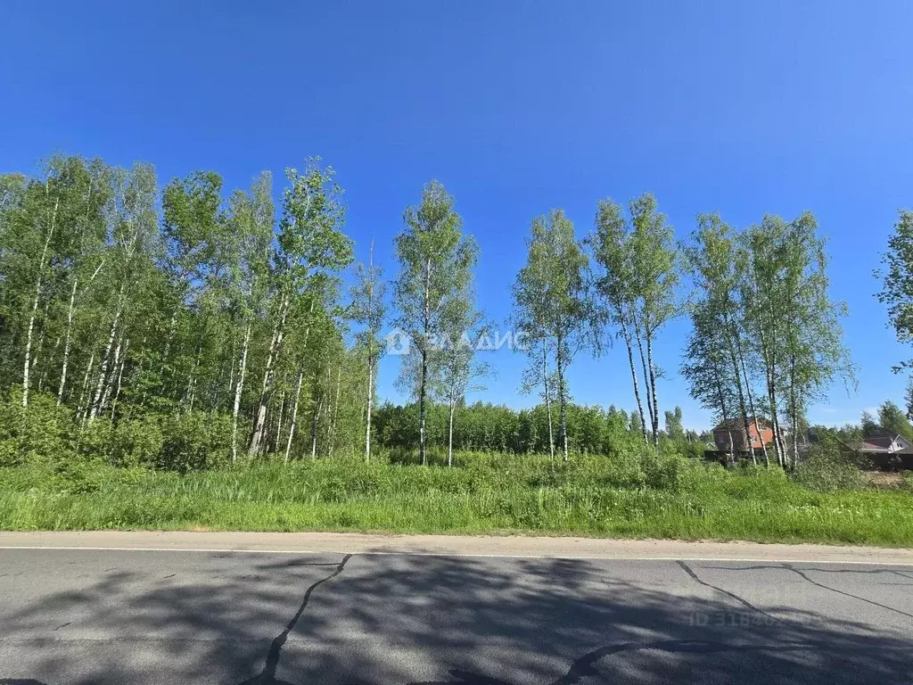 Участок в Ярославская область, Рыбинский муниципальный округ, ... - Фото 0