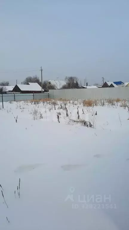 Дом в Тюменская область, Тюменский муниципальный округ, с. Муллаши ул. ... - Фото 2