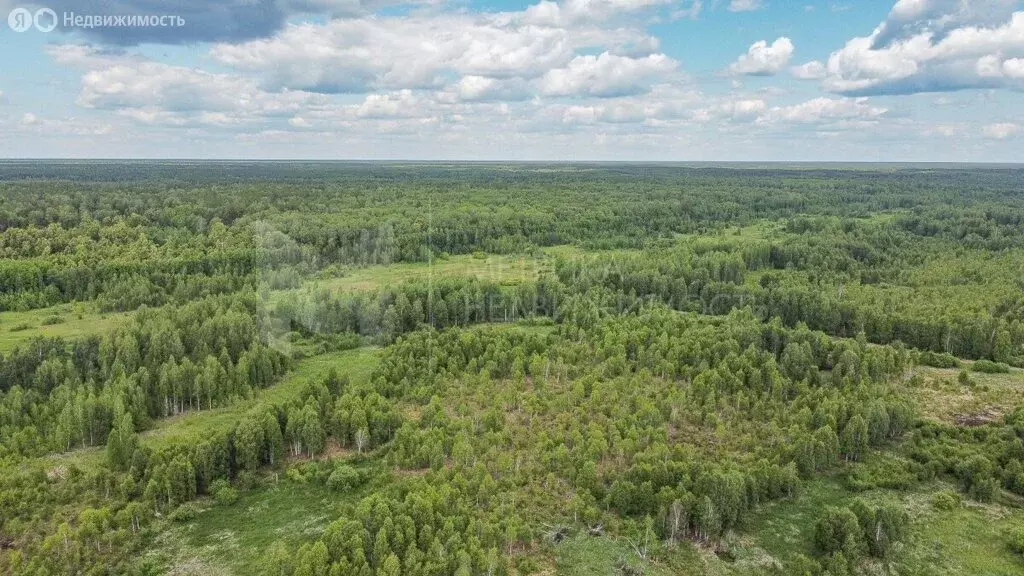 Участок в Тюменский район, село Перевалово (7.64 м) - Фото 1