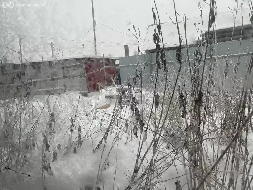 Дом в Омск, 5-я Кировская улица (49.4 м) - Фото 2