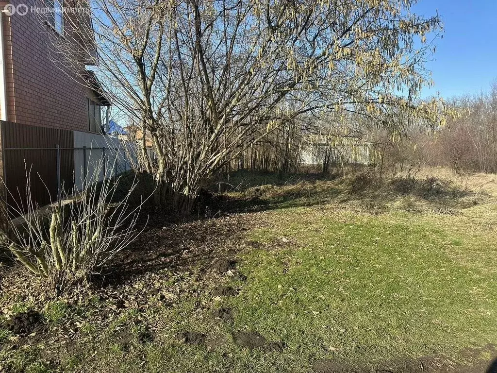 Участок в Новотитаровское сельское поселение, хутор Осечки, дачное ... - Фото 1