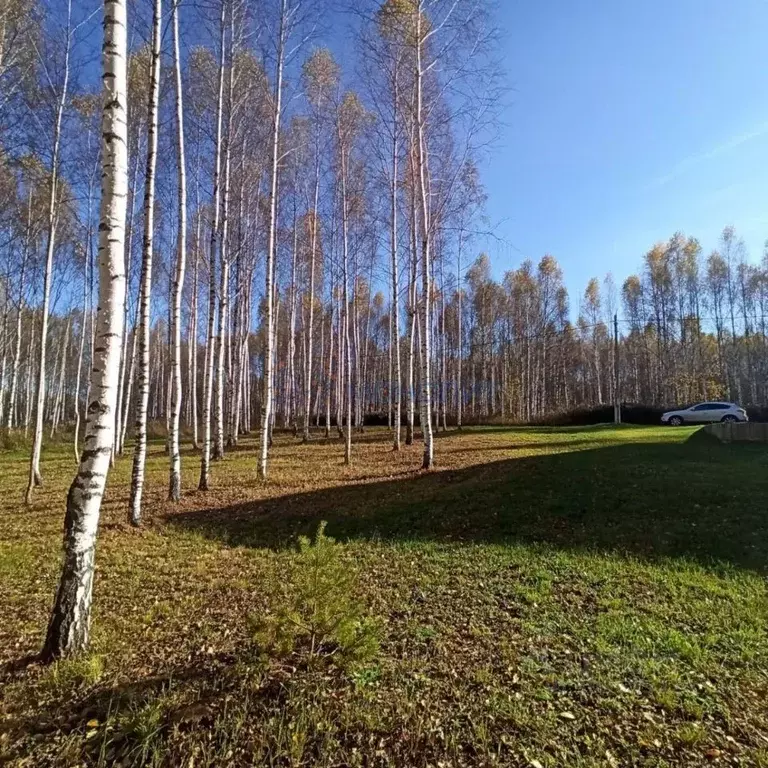 Участок в Нижегородская область, Кстовский муниципальный округ, с. ... - Фото 1