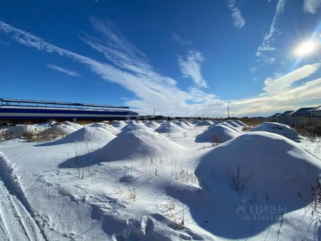 Участок в Амурская область, Благовещенский район, с. Чигири  (82.47 ... - Фото 1
