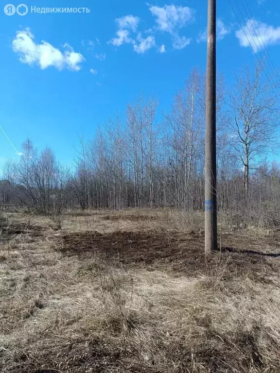 Участок в Нижегородская область, Володарский муниципальный округ, СНТ ... - Фото 1