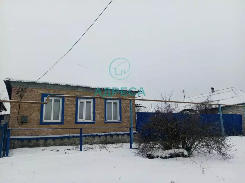 Дом в Белгородская область, Чернянский район, Волоконовское с/пос, с. ... - Фото 2