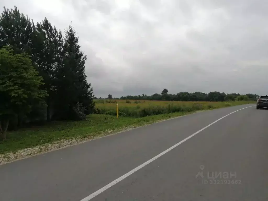 Участок в Владимирская область, Кольчугинский муниципальный округ, с. ... - Фото 1