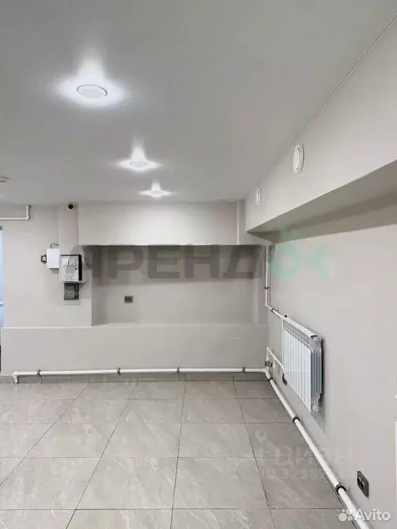 Помещение свободного назначения в Татарстан, Казань Ленская ул., 4 (66 ... - Фото 2