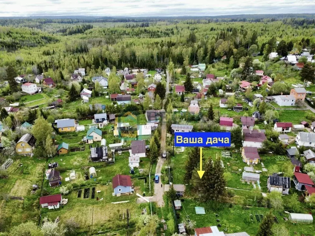 Участок в Ленинградская область, Всеволожский район, Куйвозовское ... - Фото 0