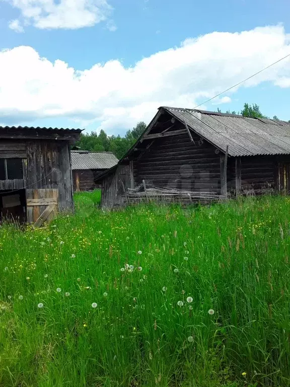 Дом 50 м на участке 25 сот. - Фото 1