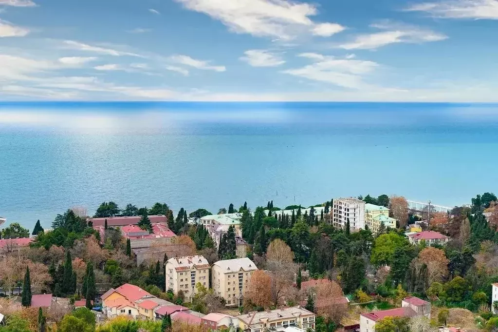 3-к кв. Краснодарский край, Сочи ул. Яна Фабрициуса, 2/9 (130.0 м) - Фото 2