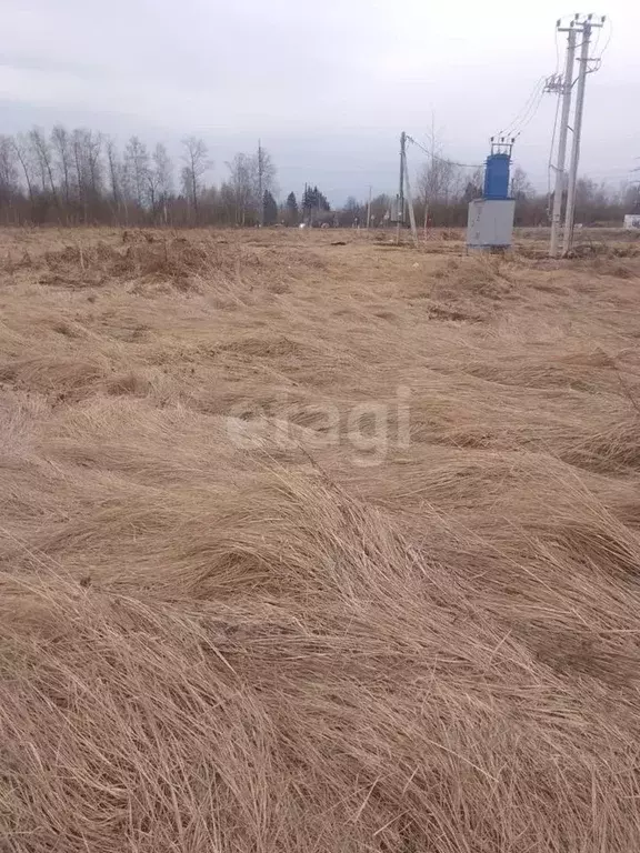 Участок в Владимирская область, Муромский район, д. Александровка ... - Фото 0