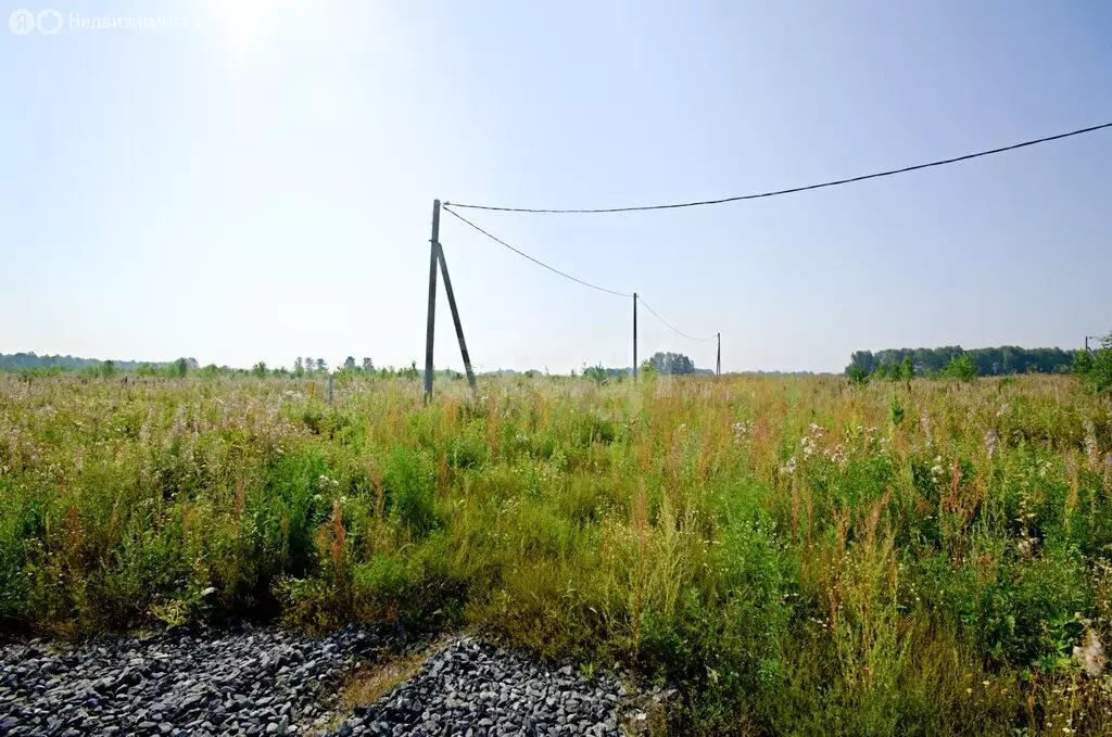 Участок в Заводоуковск, улица Петра Фёдорова (9.12 м) - Фото 1