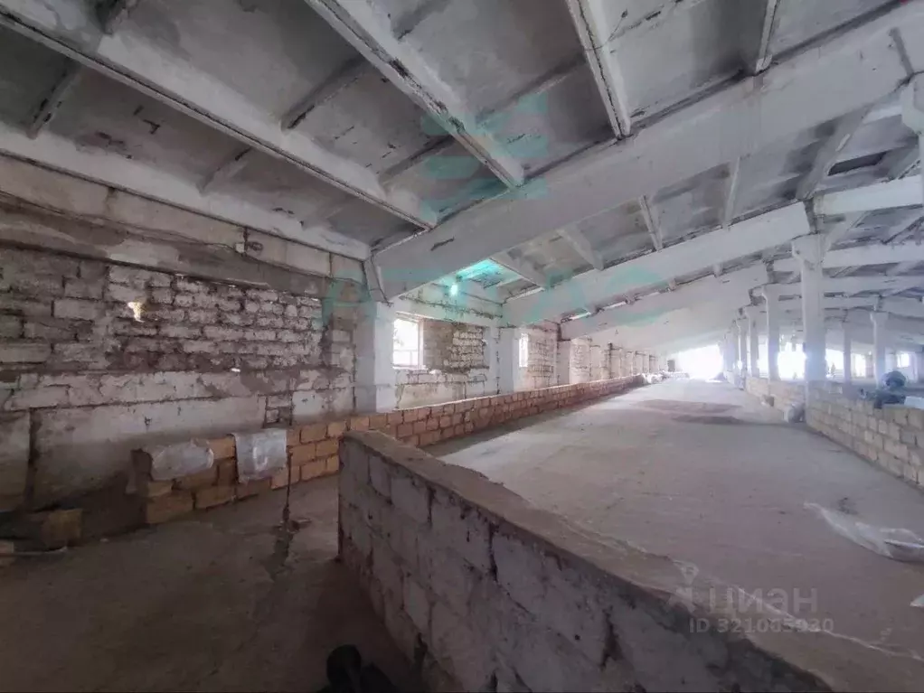 Склад в Крым, Симферопольский район, Родниковское с/пос, с. Курганное ... - Фото 2