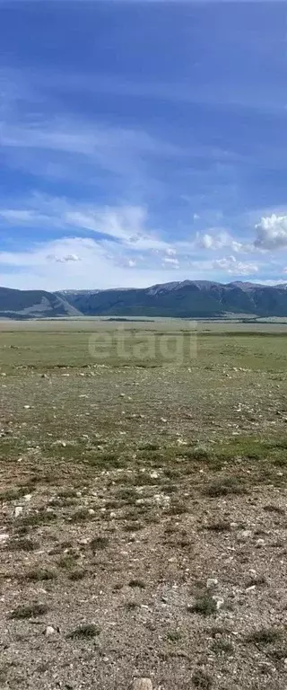 Участок в Алтай, Кош-Агачский район, с. Курай  (500.0 сот.) - Фото 1
