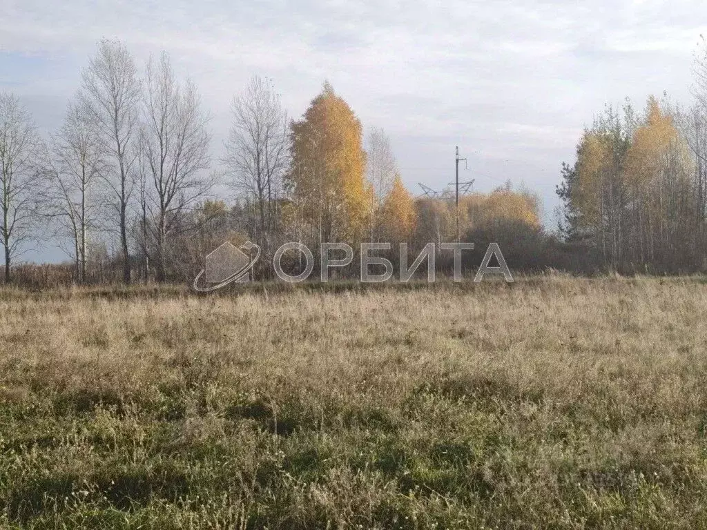 Участок в Тюменская область, Тюменский муниципальный округ, с. Борки  ... - Фото 1