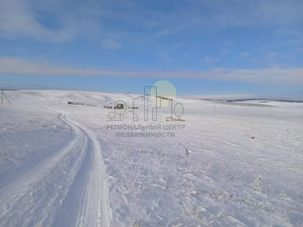 Участок в Иркутская область, Эхирит-Булагатский район, пос. ... - Фото 2