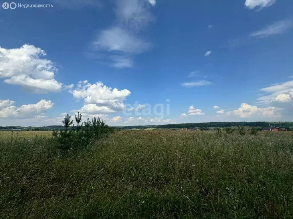Участок в Лямбирский район, Пензятское сельское поселение, село ... - Фото 1