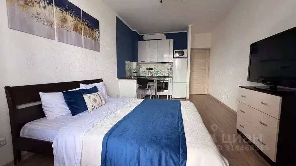 Студия Санкт-Петербург ул. Адмирала Черокова, 18к2 (28.0 м) - Фото 0