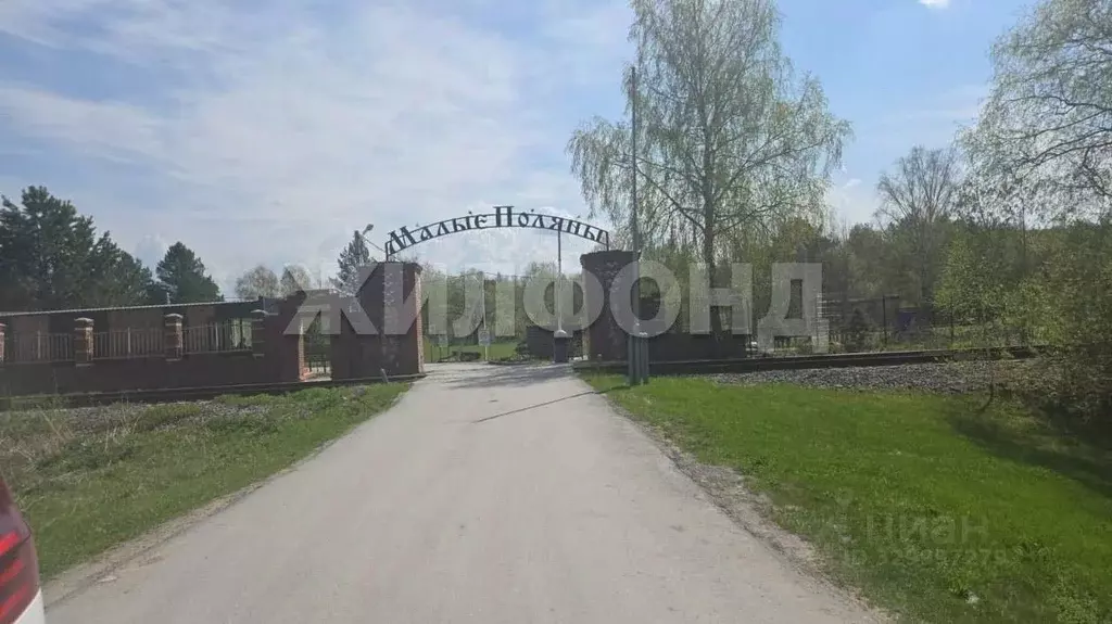 Участок в Новосибирская область, Новосибирский район, Кубовинский ... - Фото 1