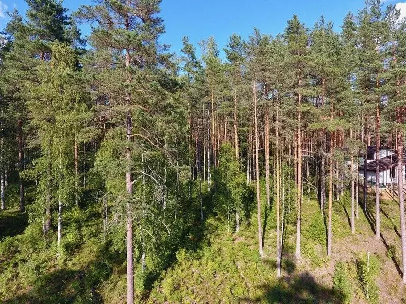 Купить Участок В Агафоново Одинцовский