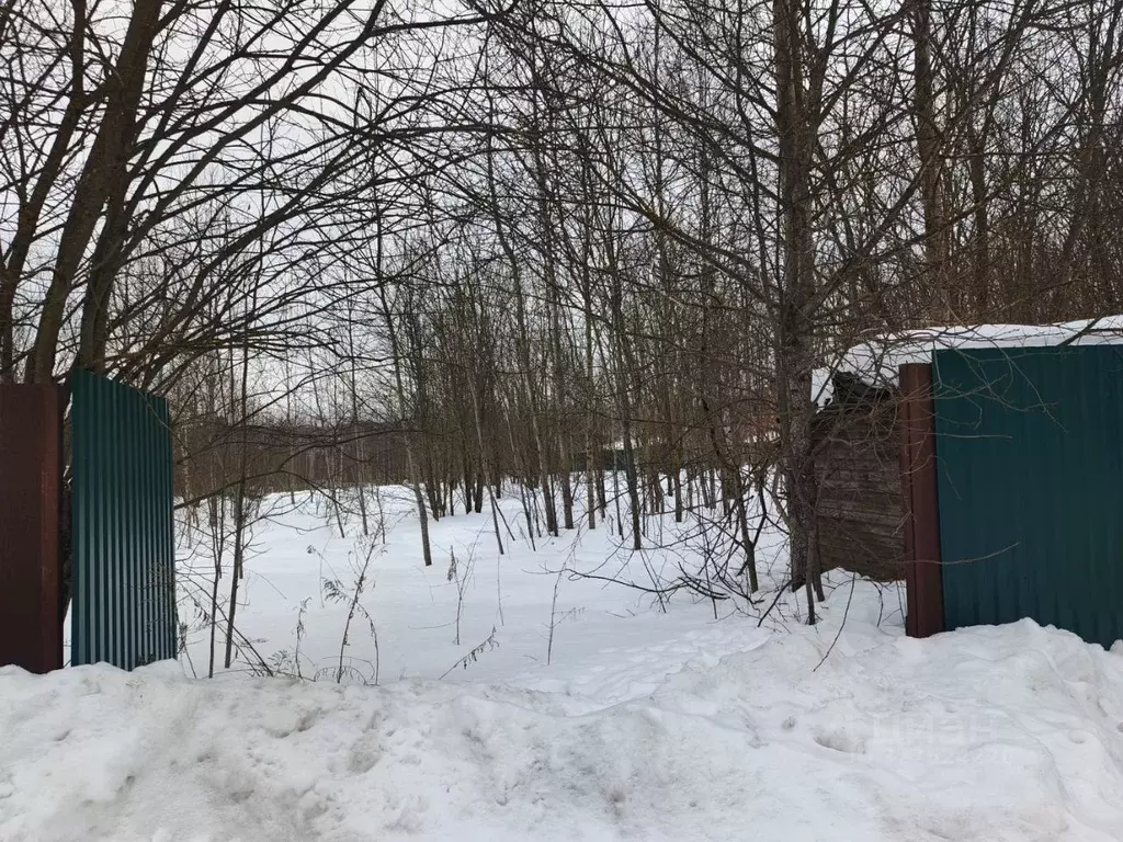 Участок в Московская область, Чехов муниципальный округ, д. Васькино ... - Фото 2