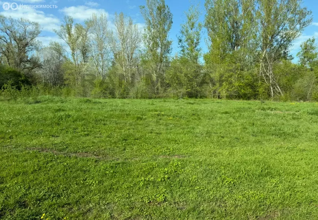 Участок в станица Курджипская, улица Чкалова, 54 (11 м) - Фото 1