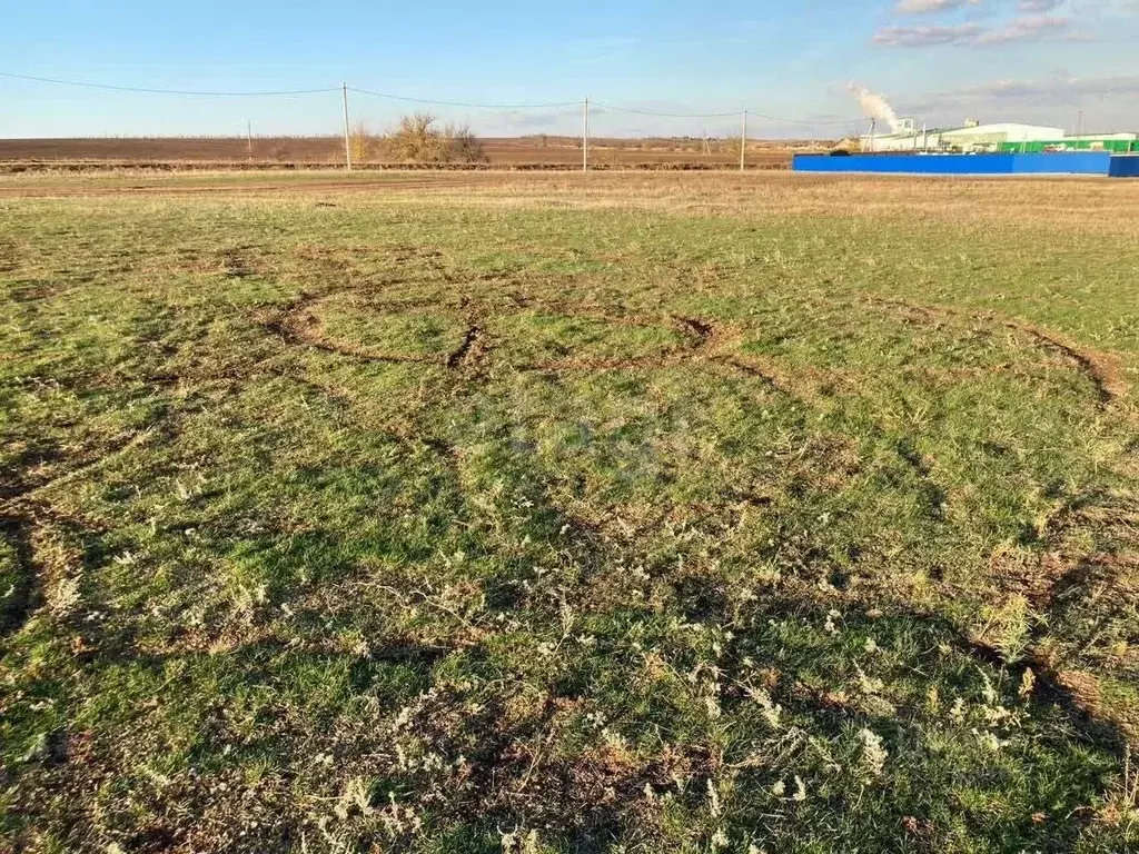 Участок в Ростовская область, Аксайский район, Мишкинское с/пос, Киров ... - Фото 2