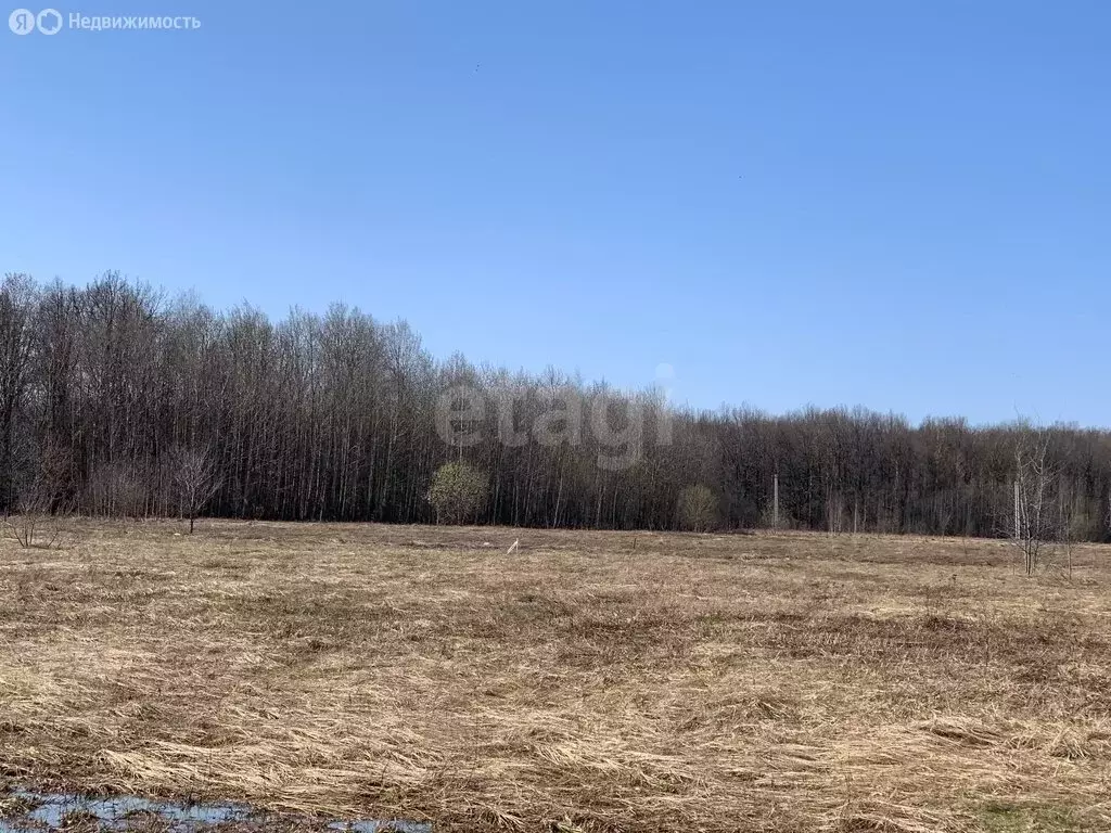 Участок в Кочкуровский район, село Булгаково (16 м) - Фото 1