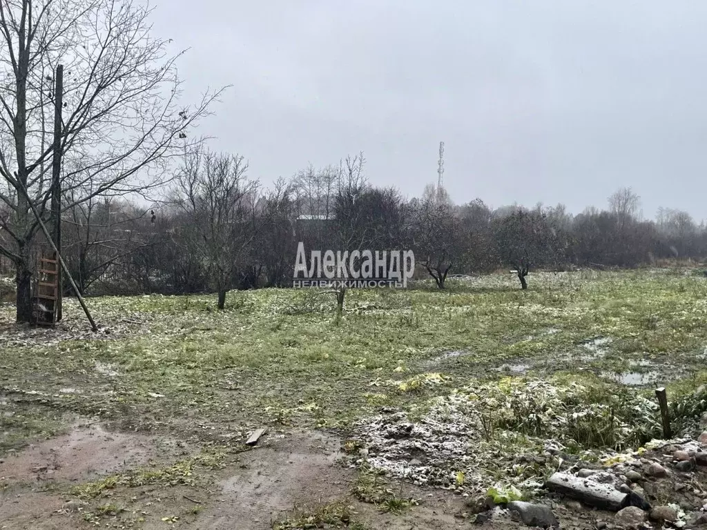 Участок в Ленинградская область, Приозерский район, Ларионовское ... - Фото 1