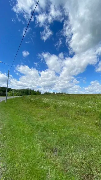 Участок в Москва № 231 кв-л,  (12.0 сот.) - Фото 2