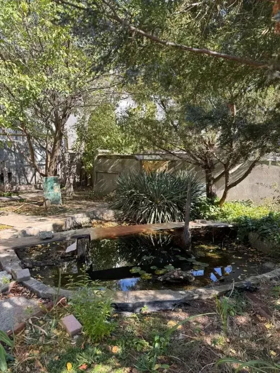 Дом в Крым, Сакский район, с. Уютное, Прибой СПК ул. Дачная (418 м) - Фото 1