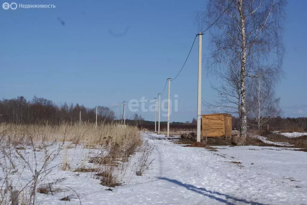 Участок в Псковский район, Тямшанская волость, деревня Барановка (30 ... - Фото 0