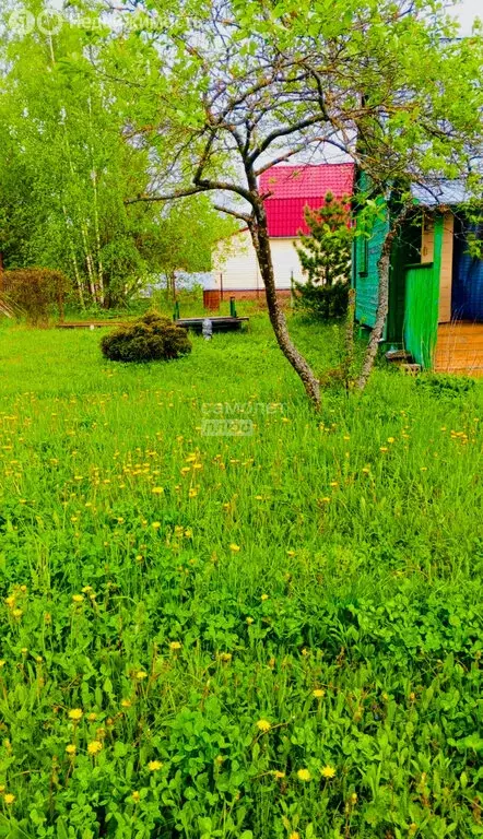 Участок в Московская область, Раменский муниципальный округ, СНТ ... - Фото 1